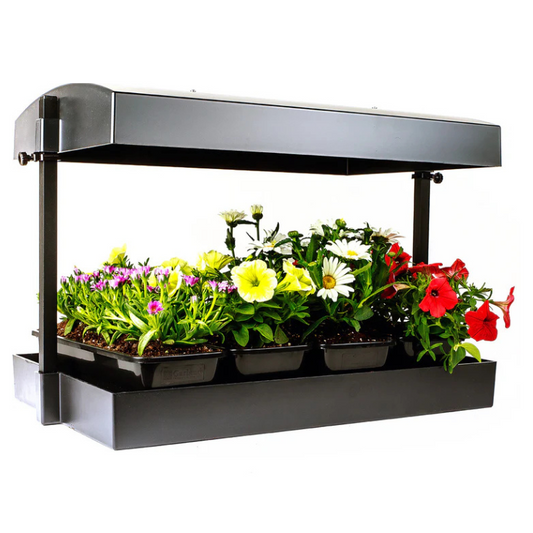 Ensemble de potager intérieur SunBlaster