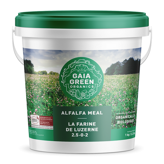 Farine de luzerne Gaia Green 1 kg