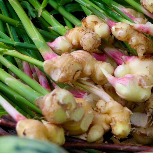 Gingembre frais (100 g)