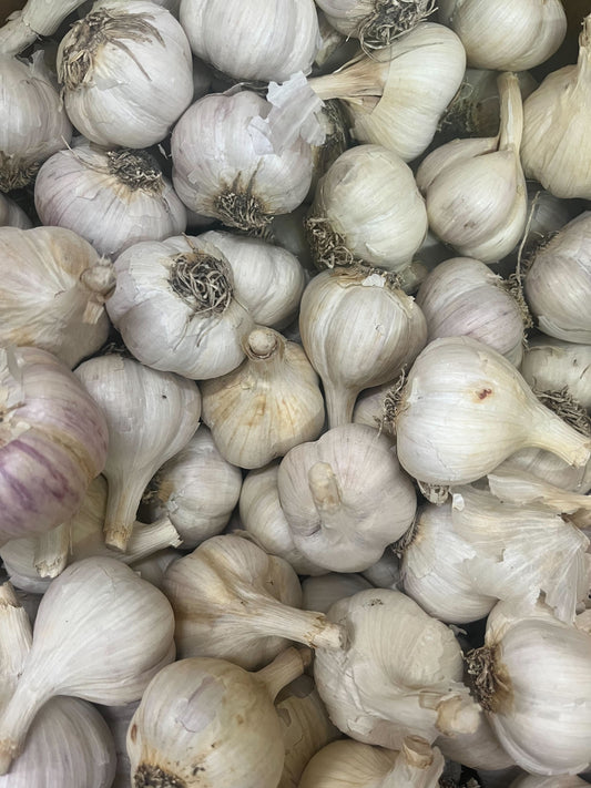 Ail biologique Music - unité