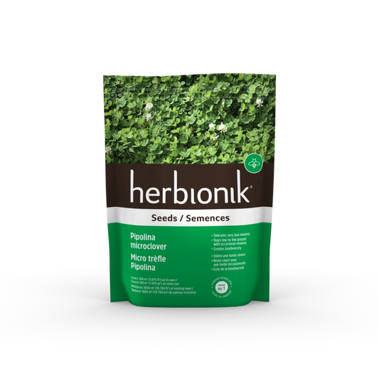 Micro trèfle pipolina Herbionik 500g