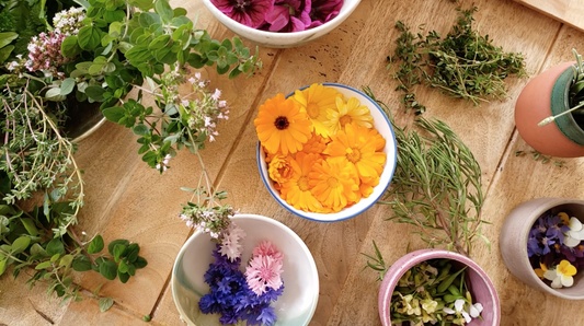 MODULE: Fleurs comestibles et plantes médicinales