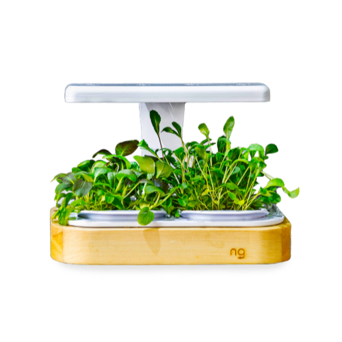 Novagrow Mini