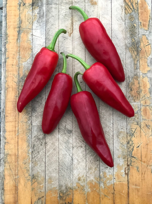 Piment Gorria (semences bio)