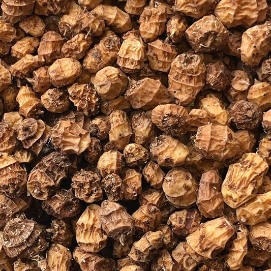 Souchet comestible (semences bio)