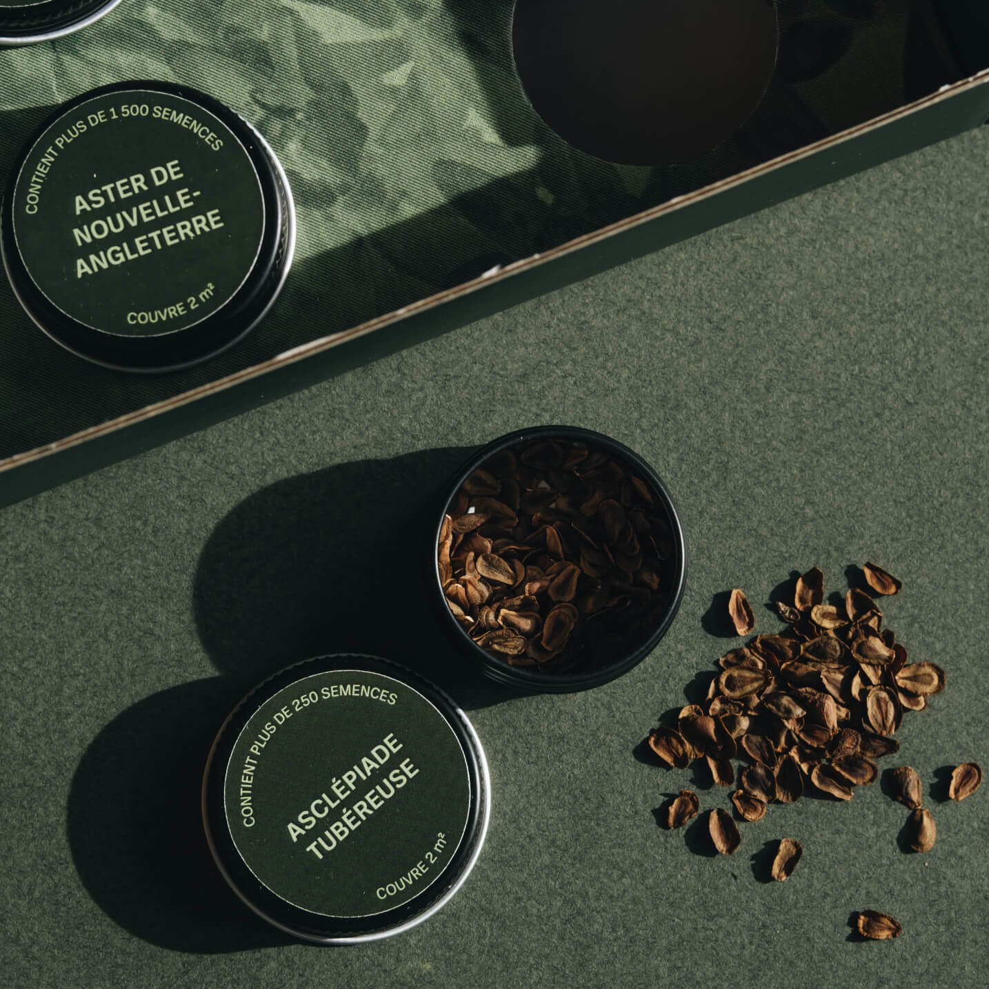 Coffret de semences - Îlot de biodiversité