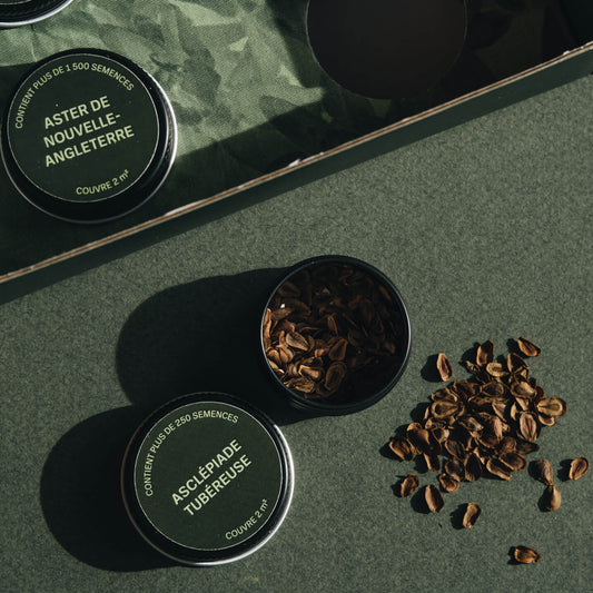 Coffret de semences - Îlot de biodiversité