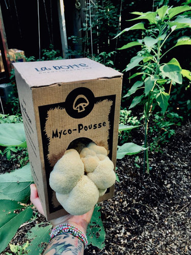 Myco-pousse de La Botte - trousse du culture