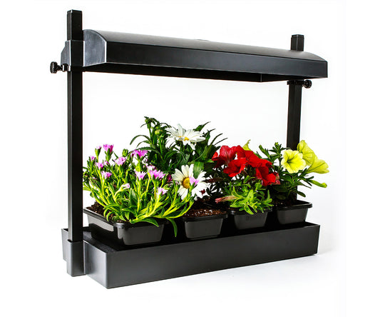 Ensemble de micro potager intérieur SunBlaster
