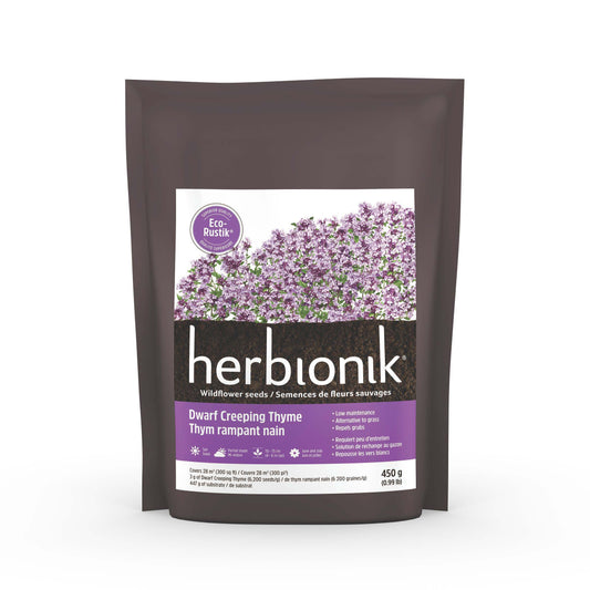 HERBIONIK Eco-Rustik Thym rampant nain