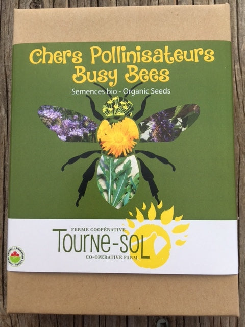 Coffret de semences - Chers Pollinisateurs