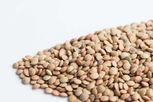 Lentilles vertes 250g (Canada)