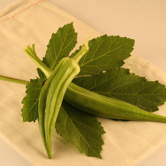 Okra Clemson Spineless 80 (semences bio)