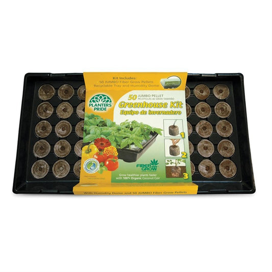 Pastilles (50) de fibres de noix de coco avec plateau et dôme