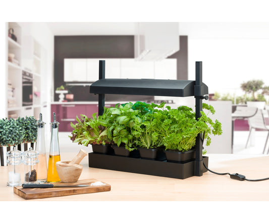Ensemble de micro potager intérieur SunBlaster
