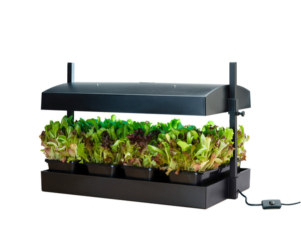Ensemble de potager intérieur SunBlaster