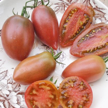 Tomate italienne Ukrainian Purple (semences bio)