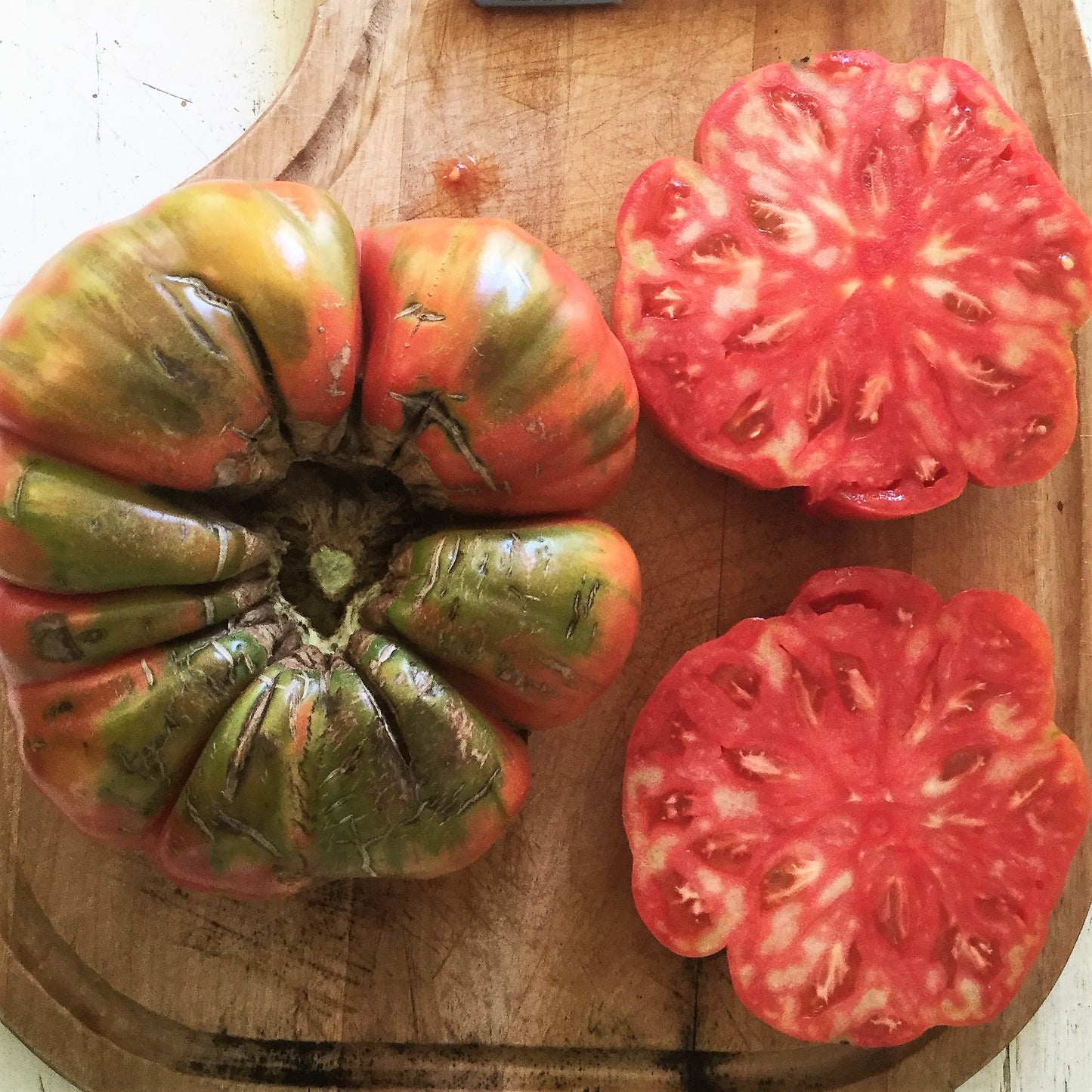 Tomate beefsteak Adelin Morin (semences bio)