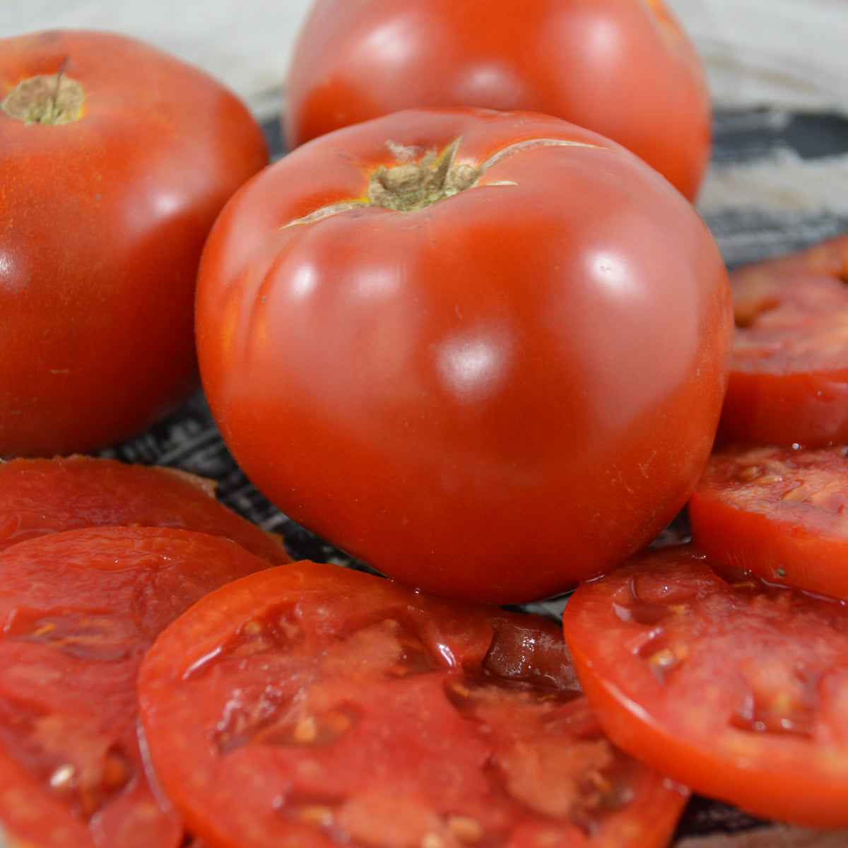 Tomate standard Moskvich (semences bio)