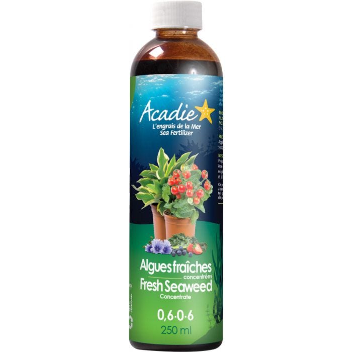 Bouteille de 250ml d'algues fraîches concentrée Acadie