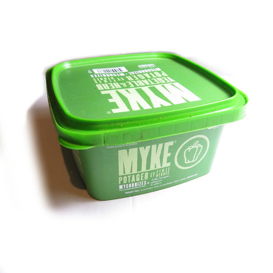 Boîte carrée verte MYKE potager