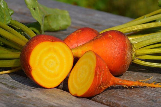 Betteraves oranges à chair jaune, tiges et feuillage verts, variété Touchstone Gold.