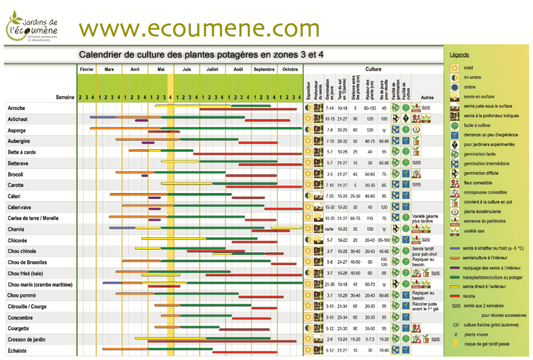 Photo d'un calendrier détaillé.