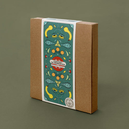 Boîte avec des dessins de fleurs de courgettes, de tomates et de kales. On lit « Coffret de semences : le potager classique »