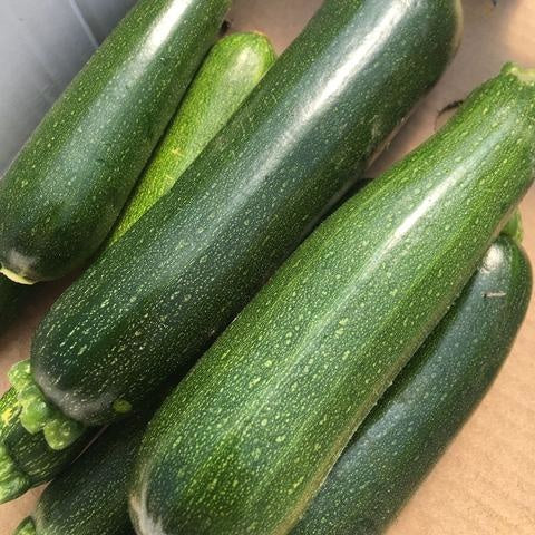 Courgette Dark Green (semences)