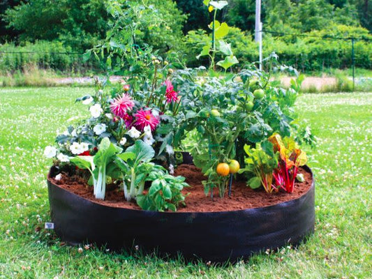 Jardins instantanés - Smart Pot