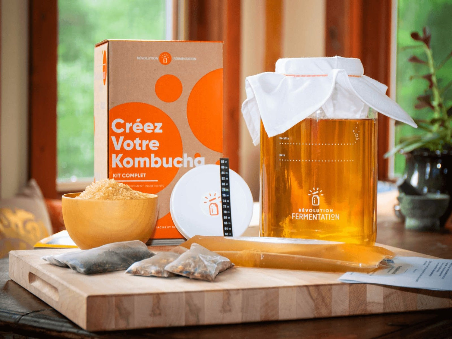 Kit complet pour créer son kombucha (sans Mamma) - Nature – Les  Urbainculteurs boutique