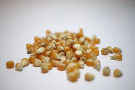 Maïs 250g (USA)