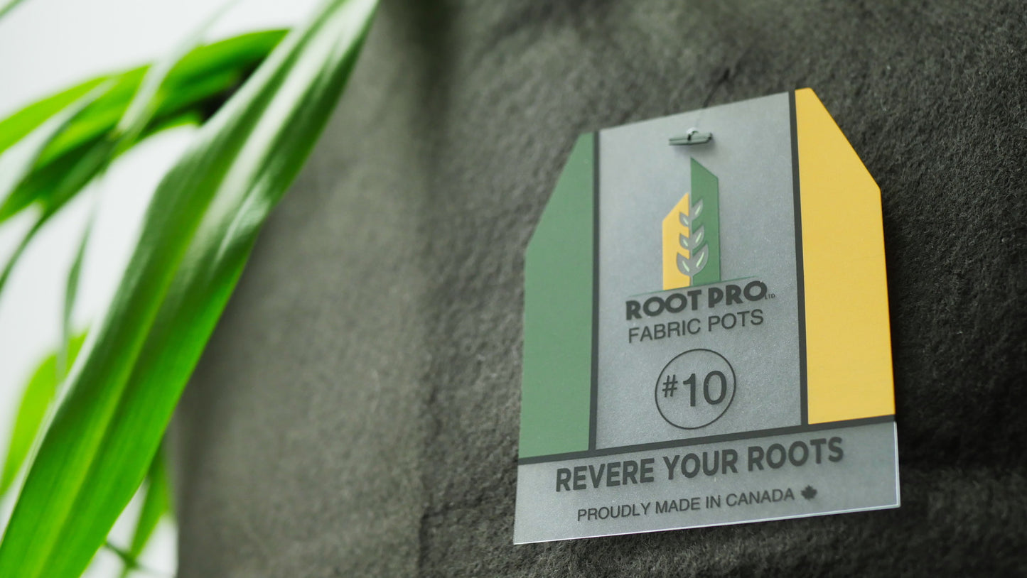 Root Pro 10 gallons