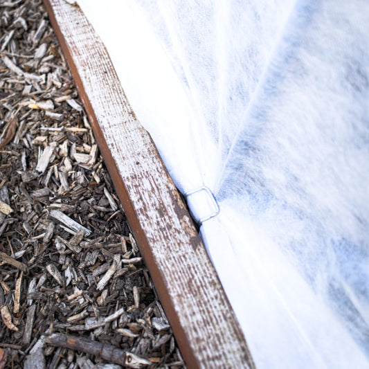 Broche recourbée qui tient une toile sur un lit de culture.