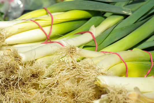 Poireau (plants)