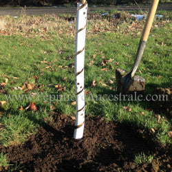 Protecteur à rongeur