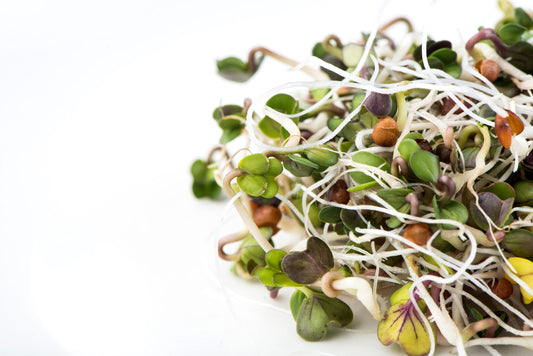 Radis Daikon 250g (Canada)