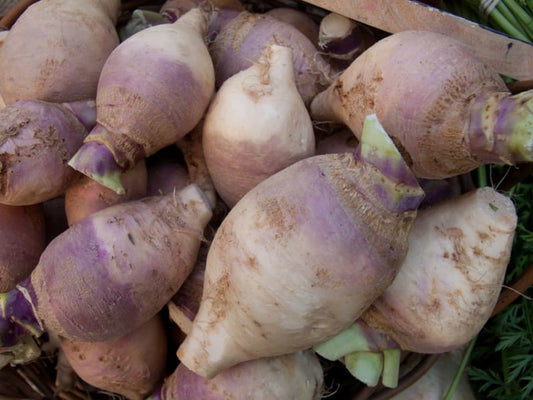 Rutabaga (semences bio)