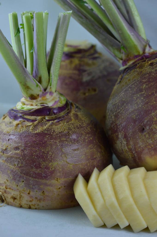 Rutabaga Fortin (semences)