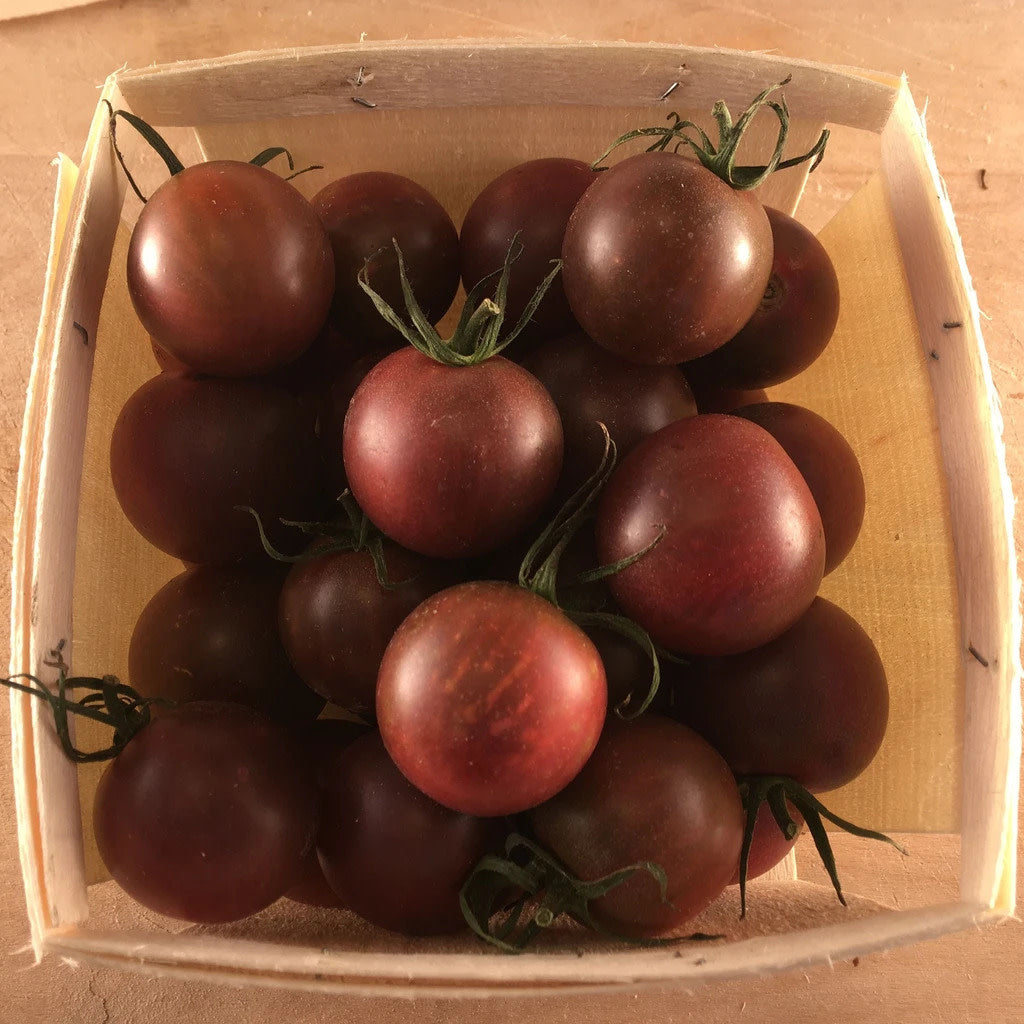 Tomate cerise noire Black Cherry (semences bio)