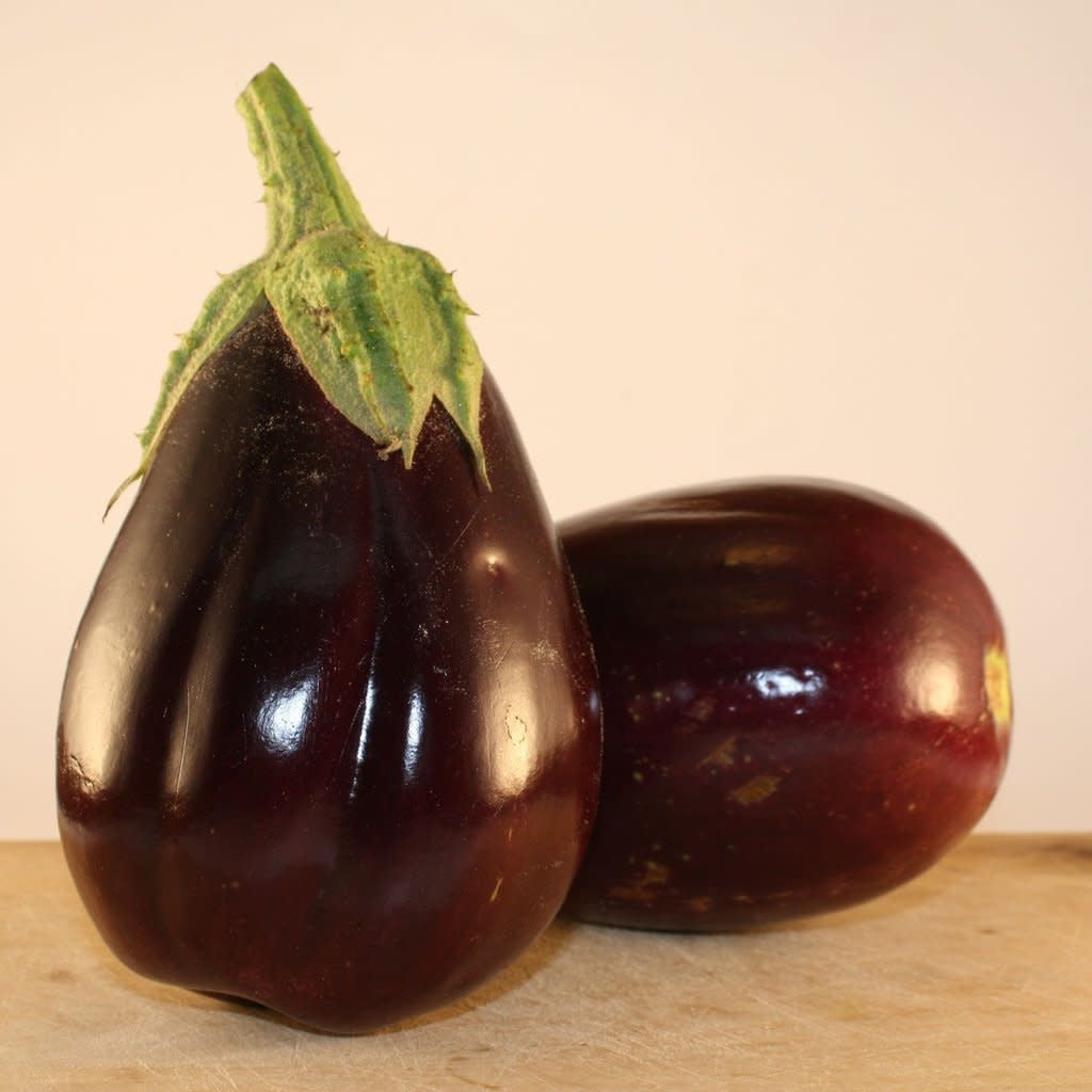 Deux aubergines Black Beauty ou Black Enorma