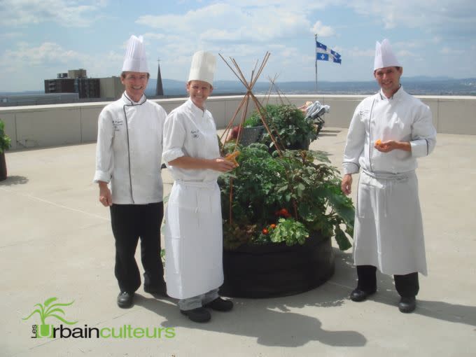 Des gens en tenue de chefs de cuisine devant des pots en géotextile avec plusieurs plants de végétaux comestibles dedans. Ils sont sur un toit, un drapeau du Québec flotte au vent.