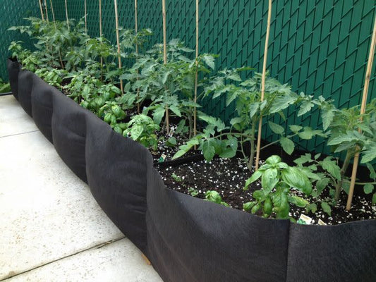 Pot long en géotextile avec des plusieurs plants de tomates et de basilics.