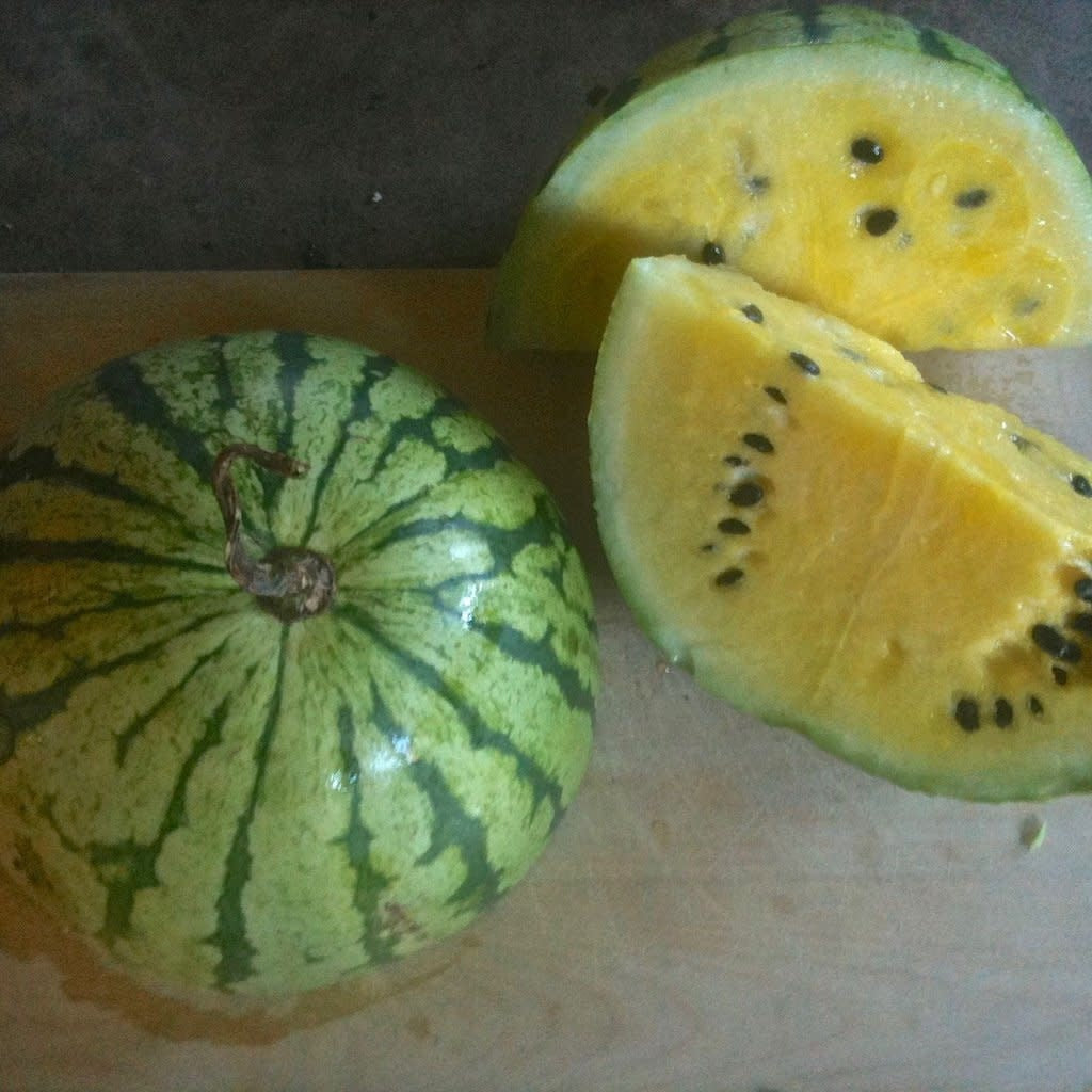 Melon d'eau Early Moonbeam (semences)
