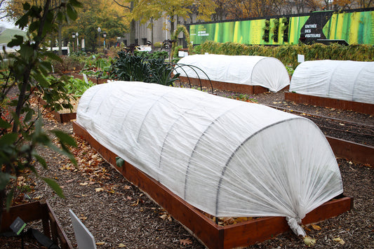 Toile sur des lits de culture soutenue par des arceaux en plastiques