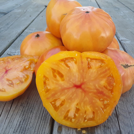 Tomate beefstreak Ananas (semences bio)