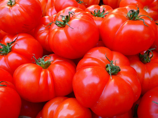 Tomate Big Beef (plant)
