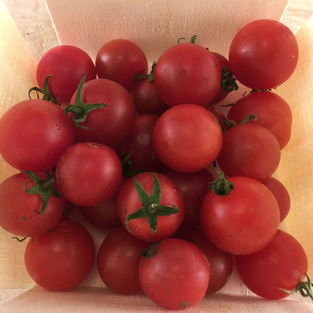 Tomate cerise rouge Peacevine (semences bio)