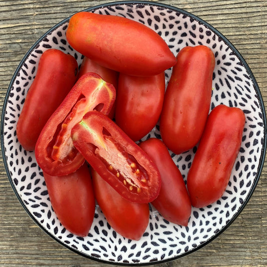 Tomate italienne Dix doigts de Naples (semences bio)