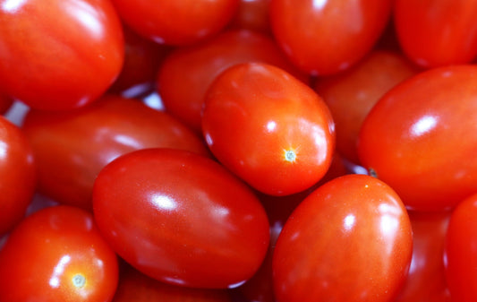Tomate Juliet (plant)
